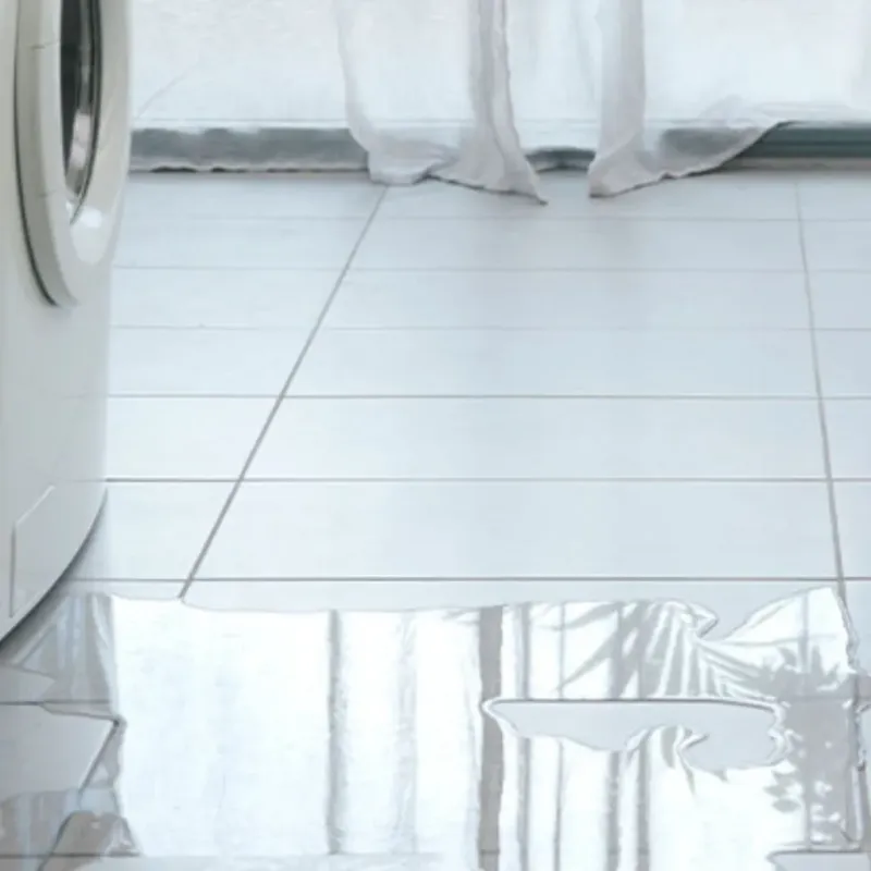 Appliance Leak Cleanup in New Buffalo, MI
