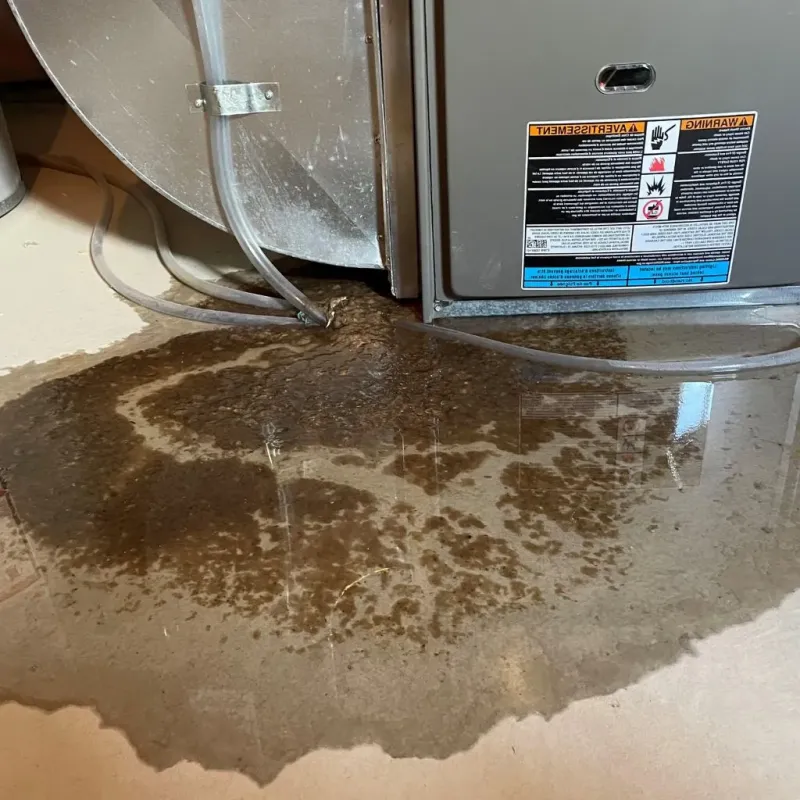 Pipe Burst and Leak Restoration in New Buffalo, MI